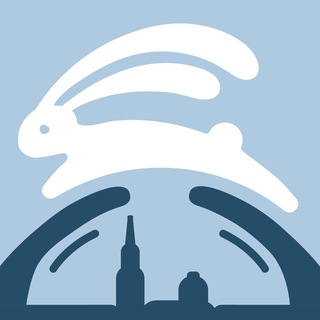 Проскочим - мосты СПб
