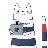CodeibJunior - ИБ новички