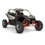 Buggy Premium - actividades al aire libre