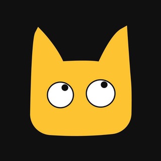 Purr fund - лончпад