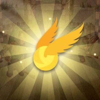 LumozQuidditch - квиддич