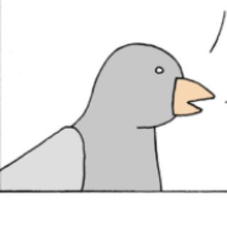 Pigeon - новости