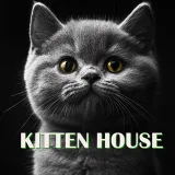 Casa de gatitos - criptografía para gatos