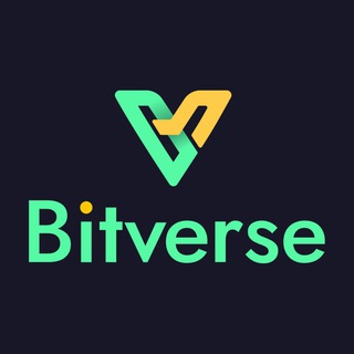 Bitverse Dollar - доллар бит