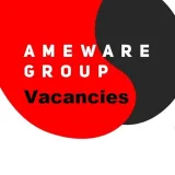 Ameware - Vacantes de TI