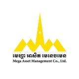 Mega Asset - vacantes de gestión