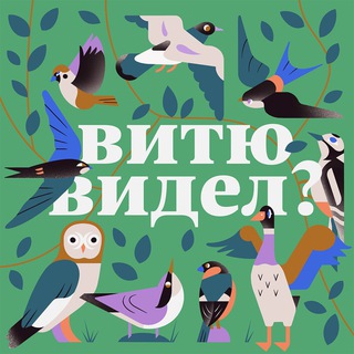 Витю видел? - подкаст