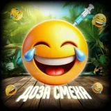 DOSE OF RISA - videos de humor