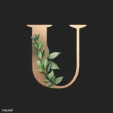 El liderazgo universitario es un truco.