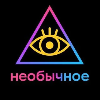 Необычное - 18+ контент