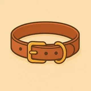 collar - BDSM 18+