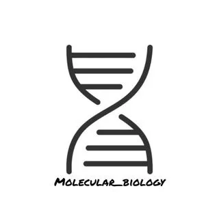 Molecular Biology - биология молекул