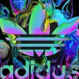 Adi.new2023 - goods store