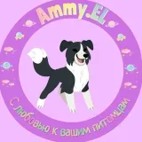 Ammy.EL - новинки и доставка