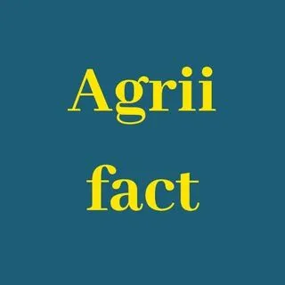 Agriifact - ежедневные агроквизы