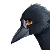 AIFOS DLM - design resources