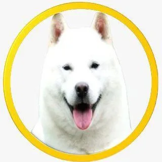 Ainu SwapToken - объявления