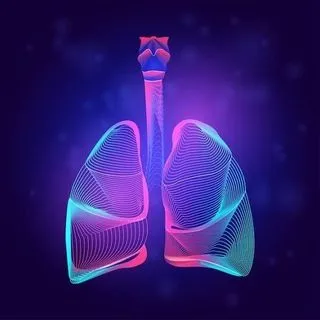Airdrop Lungs - раздачи криптовалюты