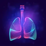 Airdrop Lungs - раздачи криптовалюты