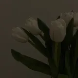𝒜- enchanting content