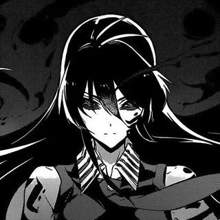 Akame Ga Kill - аниме сериал