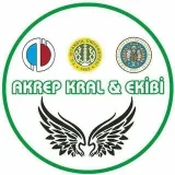 AkreplicaKral - open lessons