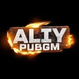 ALIY PUBGM - контент по игре