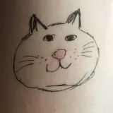 olkats- vídeos de gatos