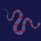 ALL IN - Закрытый проект