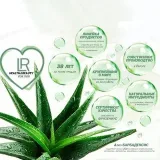 LR - Negocios e ingresos