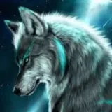 ALPHA CHAMPION - Sports betting