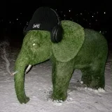 [alt] - experimentalshitpost