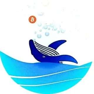 Altcoin Whales - Анализ альткоинов