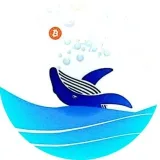 Altcoin Whales - Анализ альткоинов