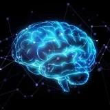 All about AI Web 3. 0 BCI