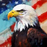 AmericanEnglish lessons