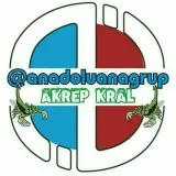 Anadolu Ana Grup - Образовательная группа
