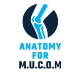 Anatomy - для M.U.C.O.M студентов