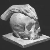 Anatomy Human - анатомия человека