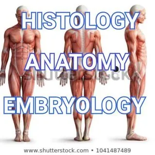 Anatomy Videos - анатомия и гистология