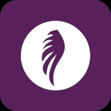 Angelvoice - Objetivos y equilibrio