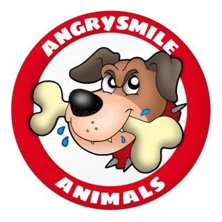 Angrysmile_animals - видео с животными