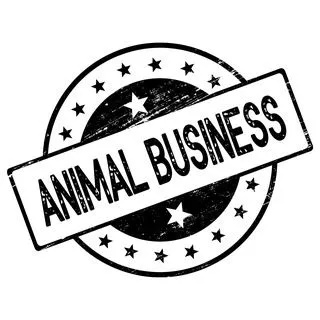ANIMAL BUSINESS - бизнес-метафоры