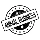 ANIMAL BUSINESS - бизнес-метафоры