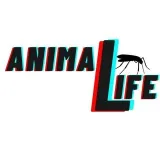 Vida animal - vida animal