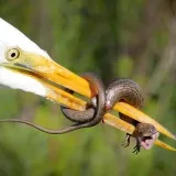 La naturaleza es metal- naturaleza dura