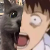 ANIMUISM- anime memes and art