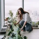 Anka's plants - растения и уход