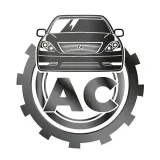 Anton-LS430 Automechanic Anton