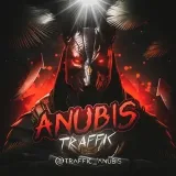 TRAFFIC ANUBIS - маркетинг бизнеса